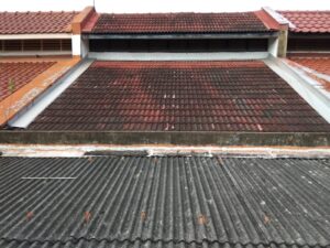 Pitched roof Before Waterproofing treatment to Pitch roof