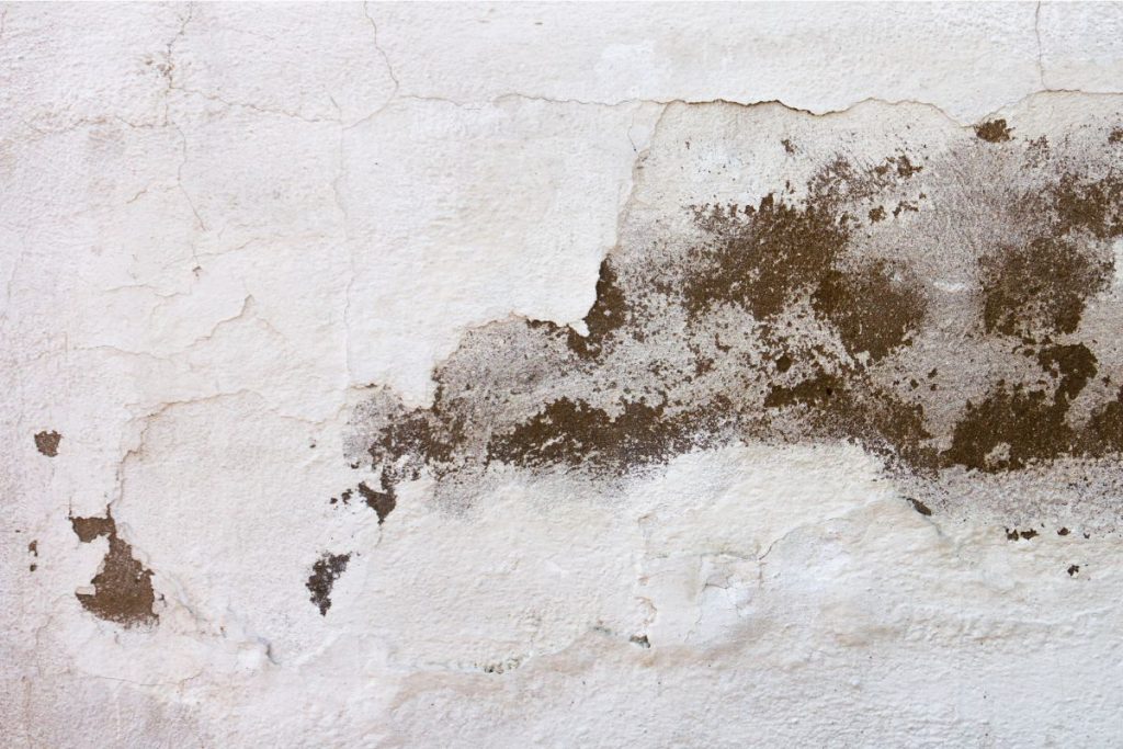 Causes of Water Seepage in Walls A Singapore Homeowner’s Guide
