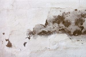 Causes of Water Seepage in Walls A Singapore Homeowner’s Guide
