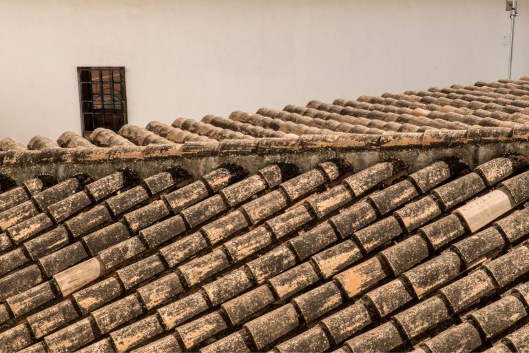 Clay roof tiles