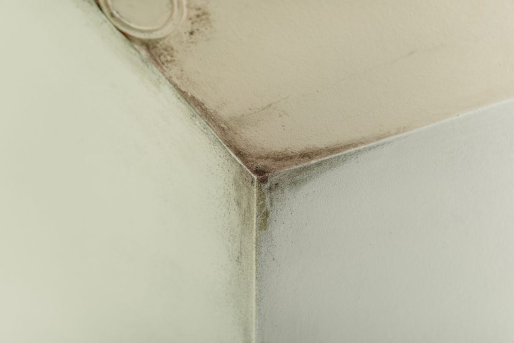 Condo ceiling dripping water from a brown stain near a downlight in a Singapore apartment