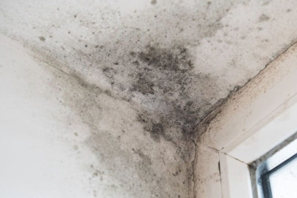 Damp patch on an interior wall showing water leakage from wall in a Singapore flat