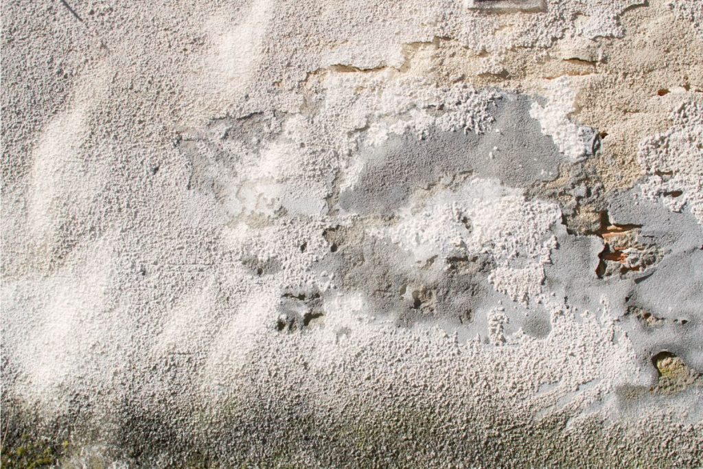 Efflorescence white salt marks on a damp wall caused by water seepage