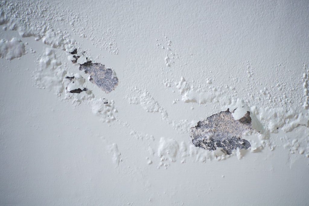 Peeling paint and damp ring showing early signs of a ceiling leak in Singapore