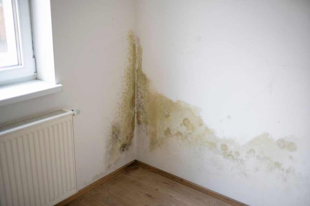 Rising damp
