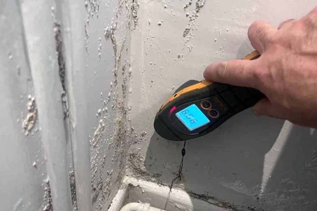Technician carrying out wall leak diagnosis with a moisture meter and thermal imaging