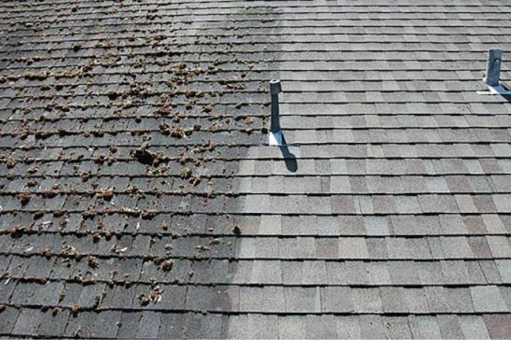 cleaning roof