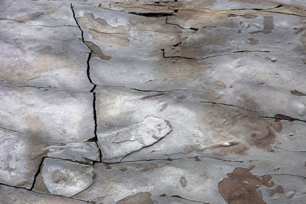 Ceiling vs Floor Spalling Concrete_ Same Cause, Different Fix