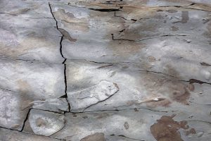 Ceiling vs Floor Spalling Concrete_ Same Cause, Different Fix